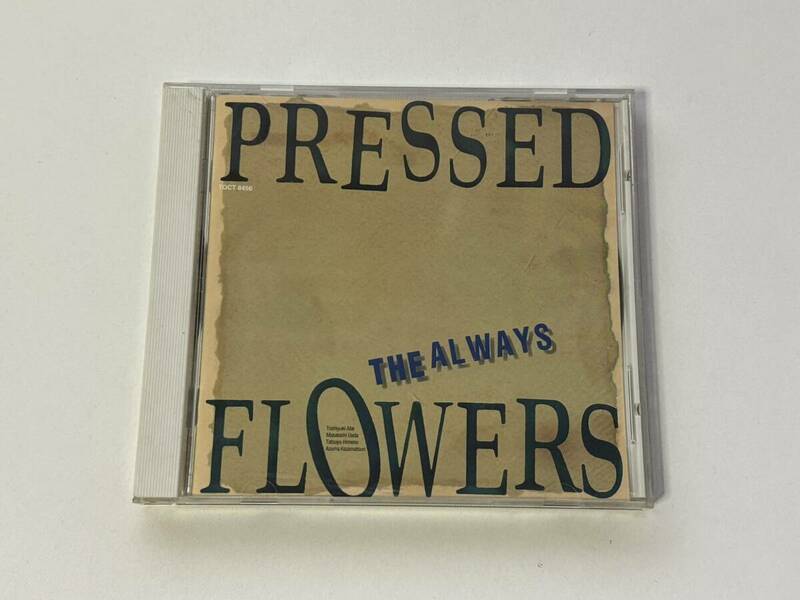 邦楽CD THE ALWAYS PRESSED FLOWERS サンプル盤