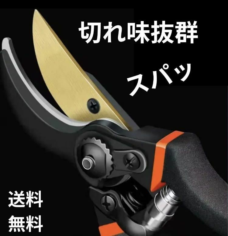 剪定バサミ 枝切り ガーデニング 剪定はさみ はさみ 盆栽 剪定鋏 フラワー 果樹 花切り