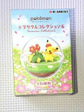 ポケモン テラリウムコレクション6 ソーナンス　リーメント 単品 ポケットモンスター　未使用　希少