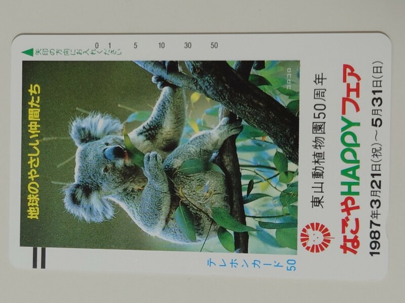 東山動植物園　50周年 　テレカ　テレフォンカード　コアラ　未使用品　50度数