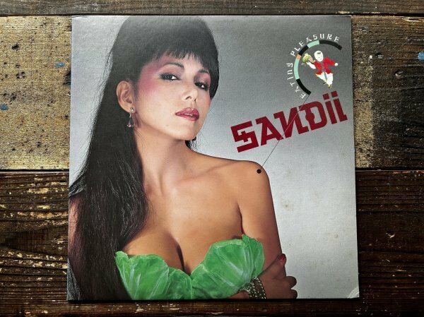 Sandii Eating Pleasure Alfa ALR-28002 YMO 細野晴臣 高橋幸宏 久保田麻琴 JAPANESE NEW WAVE 1980's