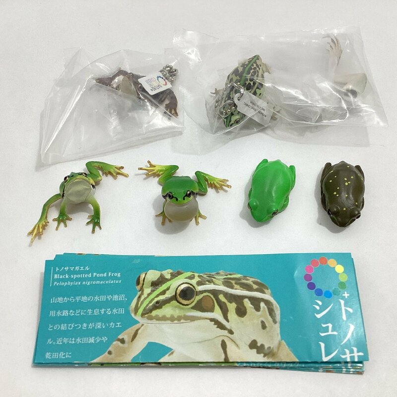 ガチャ ネイチャーテクニカラー トノサマガエルとシュレーゲルアオガエルとアマガエル ボールチェーン＆マグネット 全6種 セット いきもん