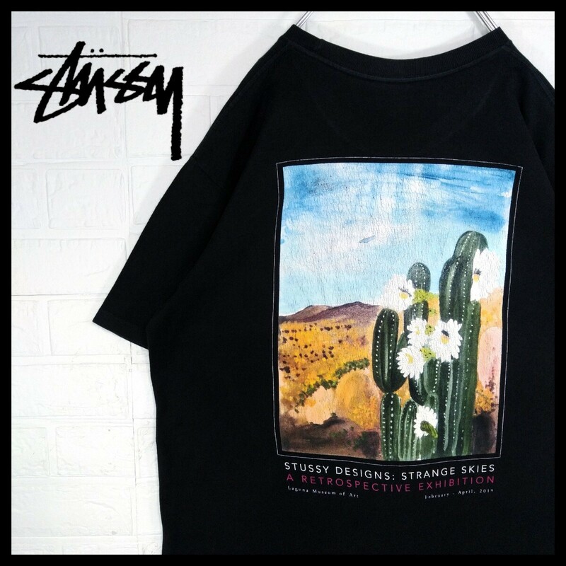 【STUSSY】サボテン　絵画　ビッグシルエット　Tシャツ