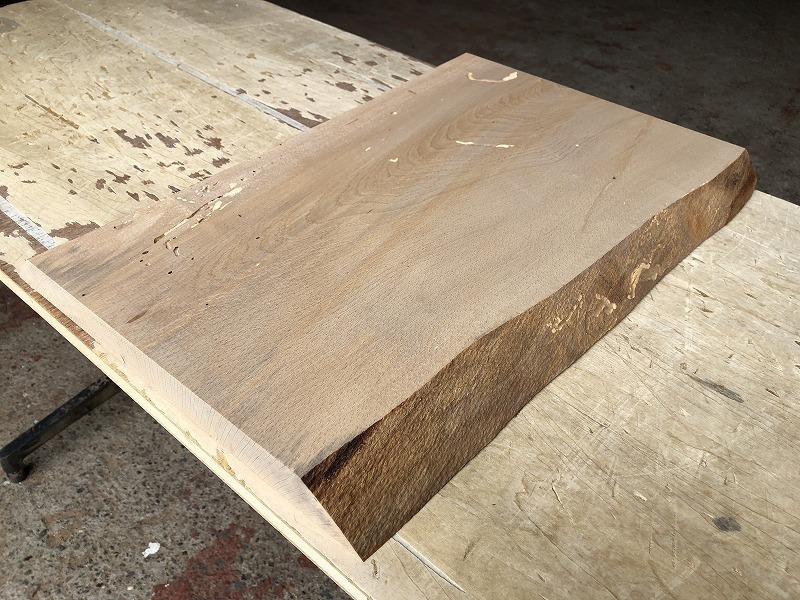 送料無料！！【S416E】ブナ 557×～378×32㎜ 板材 乾燥材 木工 DIY 材木 天然木 無垢材 《銘木すずめや》