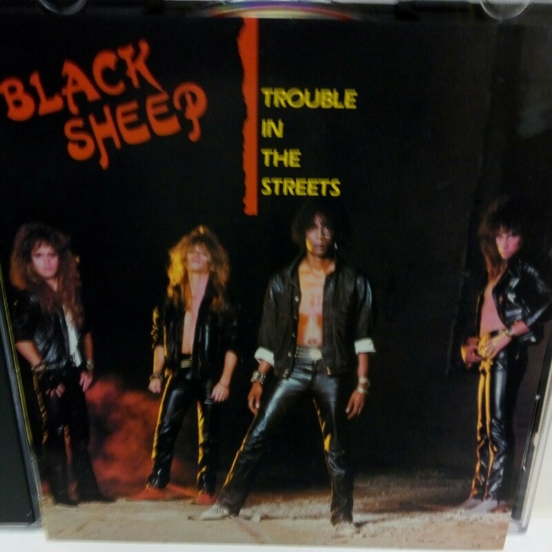 BLACK SHEEP「TROUBLE IN THE STREETS」