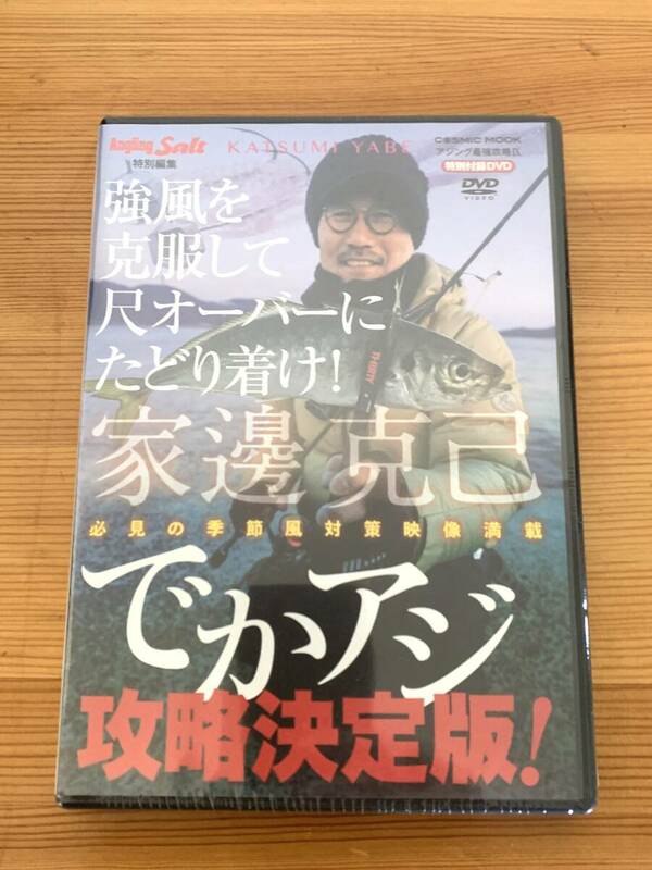 Angling Salt 特別付録DVD 家邊克己 でかアジ攻略決定版！ 非売品