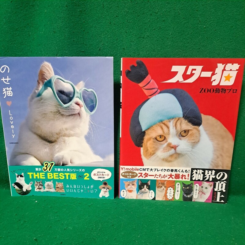 美品 即決 のせ猫 スター猫 帯付 各オリジナルポストカード付 送料230円