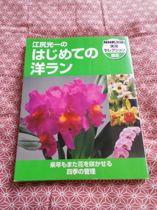 ★江尻光一のはじめての洋ラン (NHK出版実用セレクション)江尻光一(著)★来年もまた花を咲かせてください★園芸好きな方いかがですか？