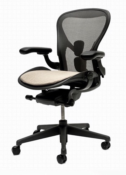 新品 Herman Miller ハーマンミラー アーロンチェア専用 クッション