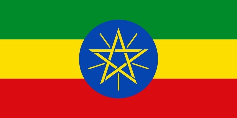 エチオピア イルガチャフィ コチャレ ウォッシュド シティロースト 200ｇ 自家焙煎 受注後に焙煎