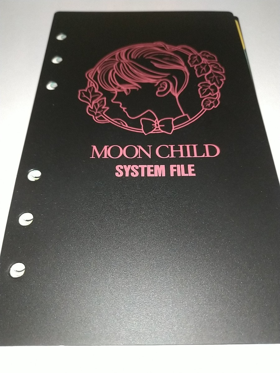 【未使用】バイブルサイズシステムファイルリフィル 月の子 moon child 清水玲子 読者全員サービス品？