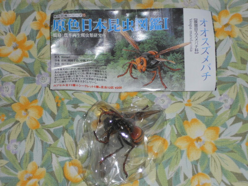 オオスズメバチ 原色日本昆虫図鑑1