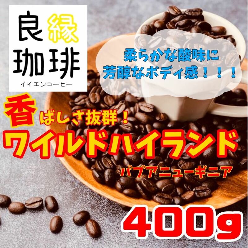 パプアニューギニア ワイルドハイランド 400g 自家焙煎 スペシャリティ コーヒー豆 珈琲豆 スペシャルティ coffee beans