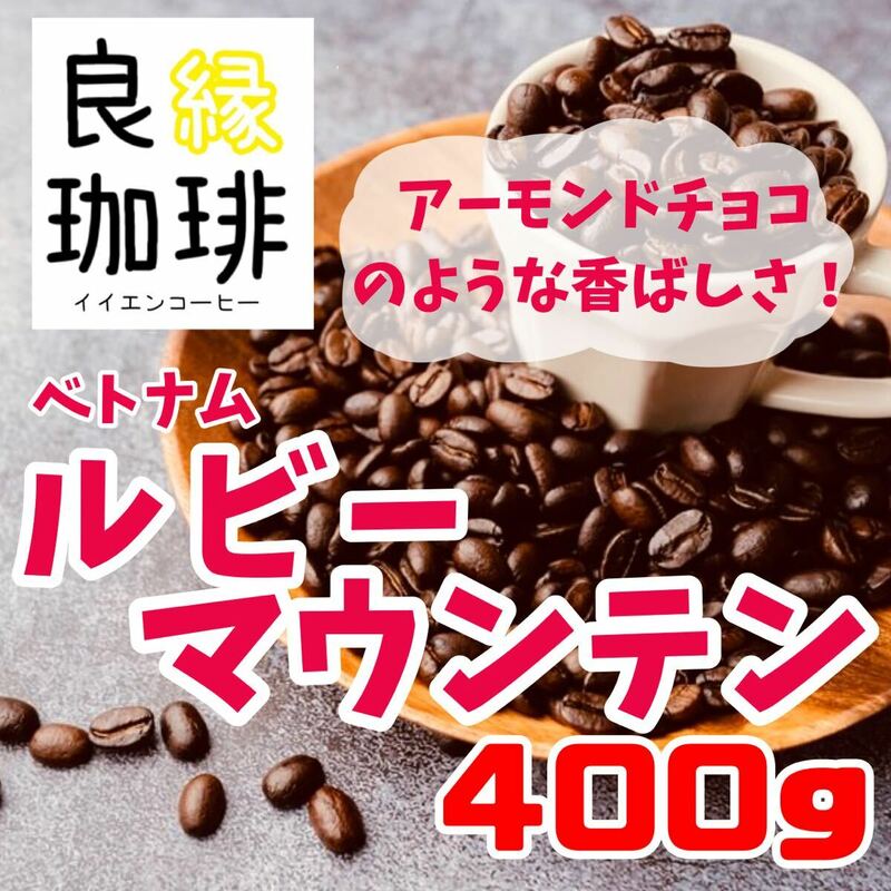 ベトナム アラビカ ルビーマウンテン G1 400g 自家焙煎 コーヒー豆 Vietnam coffee beans