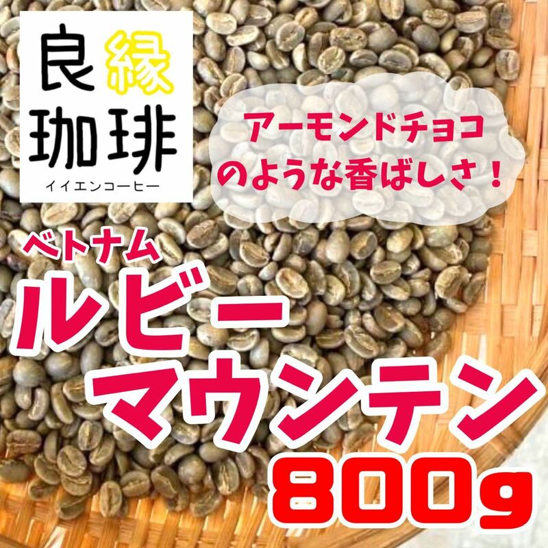 生豆 800g ベトナム アラビカ ルビーマウンテン G1 スペシャリティコーヒー 珈琲豆 コーヒー豆 自家焙煎用 beans cafe