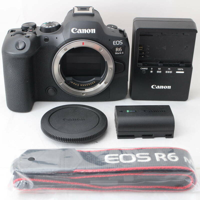 ☆新品級・ショット数1000☆ Canon キヤノン EOS R6 Mark II ボディ EOSR6MK2 ミラーレスカメラ #2052