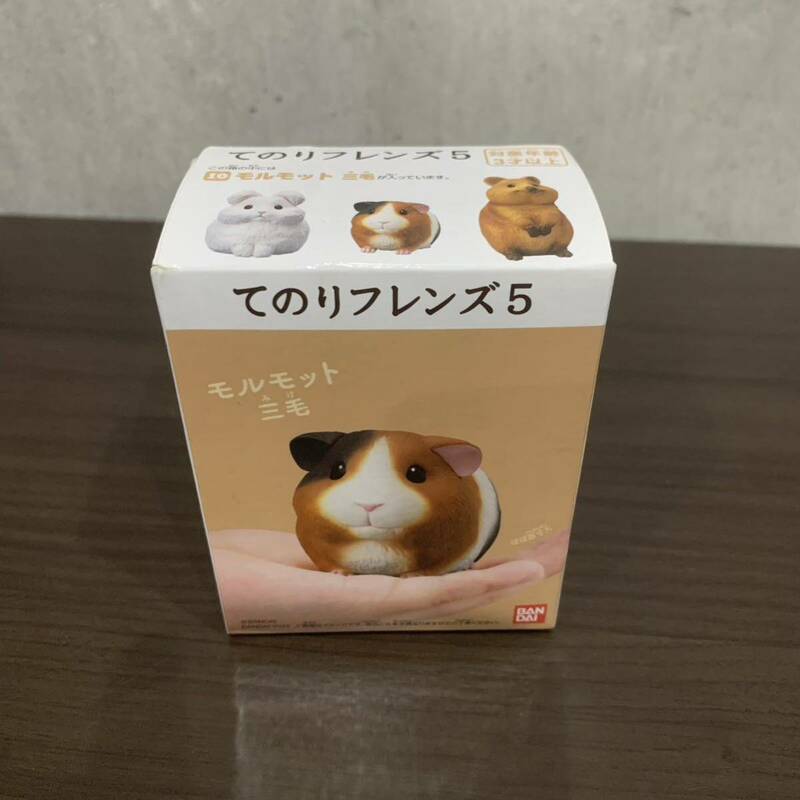 ★未開封品 てのりフレンズ5 モルモット 三毛 フィギュア