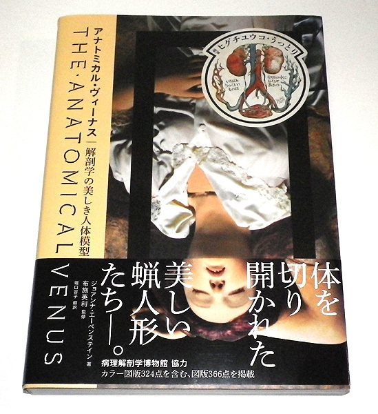 定形外送料込 アナトミカル・ヴィーナス 解剖学の美しき人体模型 帯あり ジョアンナ・エーベンステイン/著 布施英利/監修 堀口容子/訳