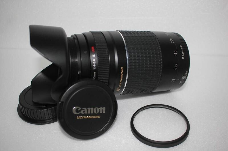 望遠レンズ　キヤノン Canon EF 75-300㎜ F4-5.6 III USM 一眼レフカメラ CANON ZOOM LENS EF 75-300㎜ F4-5.6 III