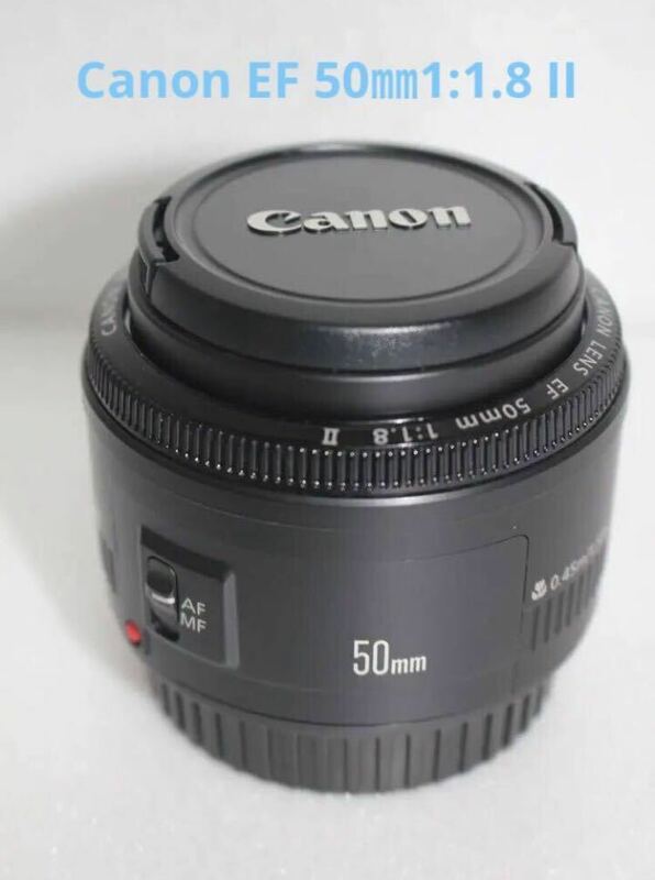 単焦点レンズ☆キャノン☆Canon EF50mm F1.8 ii