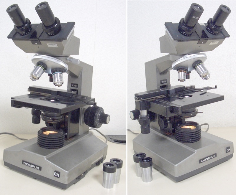 オリンパス OLYMPUS 双眼生物顕微鏡　CHB 良品　鮮明です。