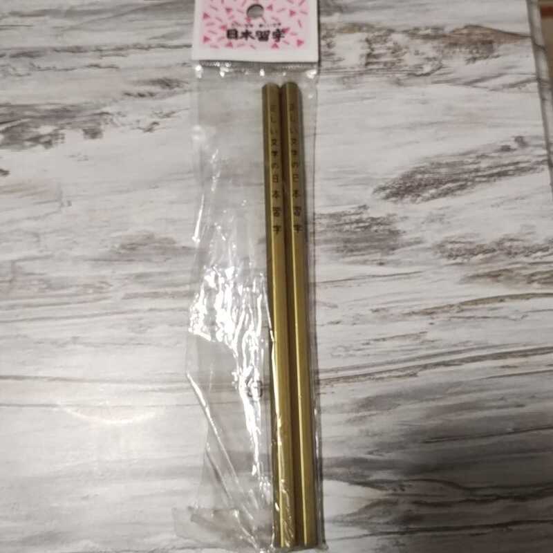 日本習字　硬筆　かきかた鉛筆　3B 2本