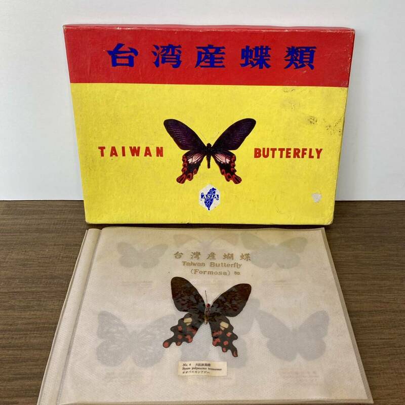 蝶の標本 50種類 台湾産 蝶類 標本 ワタナベアゲハ クロアゲハ等