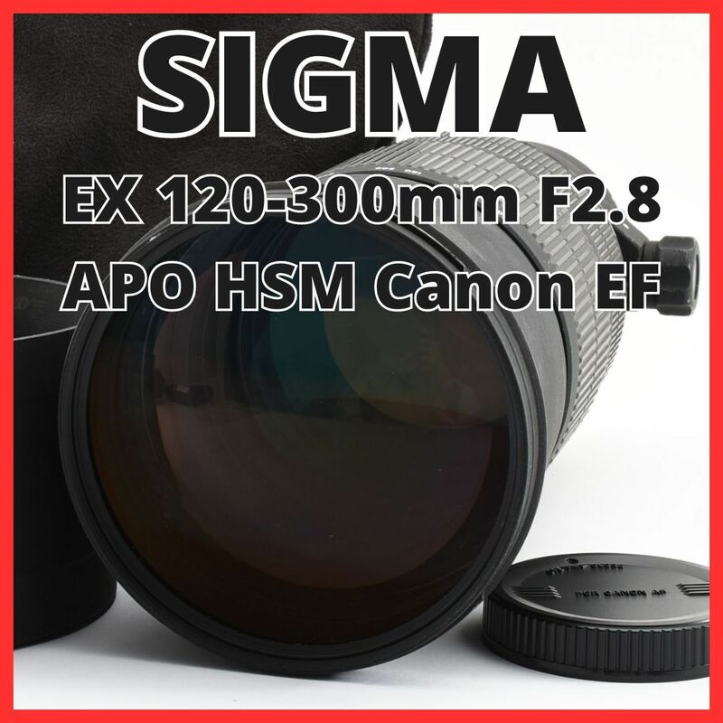 D25/5659C-34 / シグマ SIGMA EX 120-300mm F2.8 APO HSM キャノン Canon EFマウント用