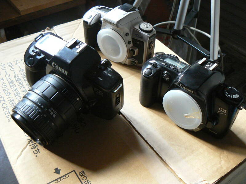 フィルムカメラ3台＋１台