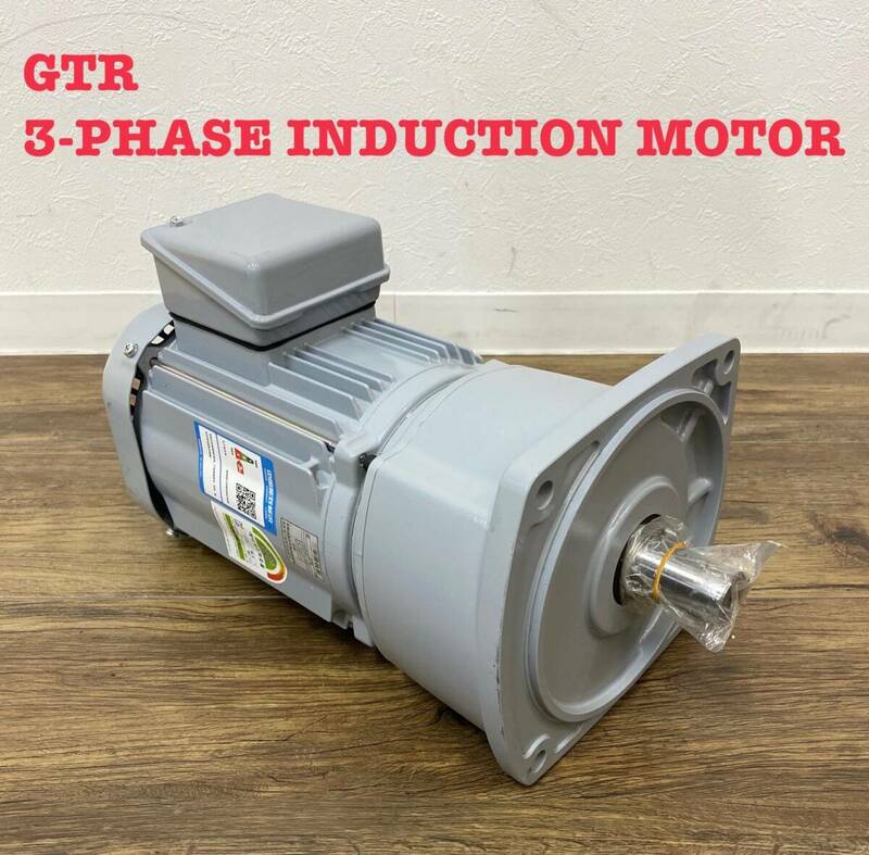 ※ 未使用 GTR 3-PHASE INDUCTION MOTOR ギアモータ 　G3F28N15-MD08TNNTN 日精　同梱OK