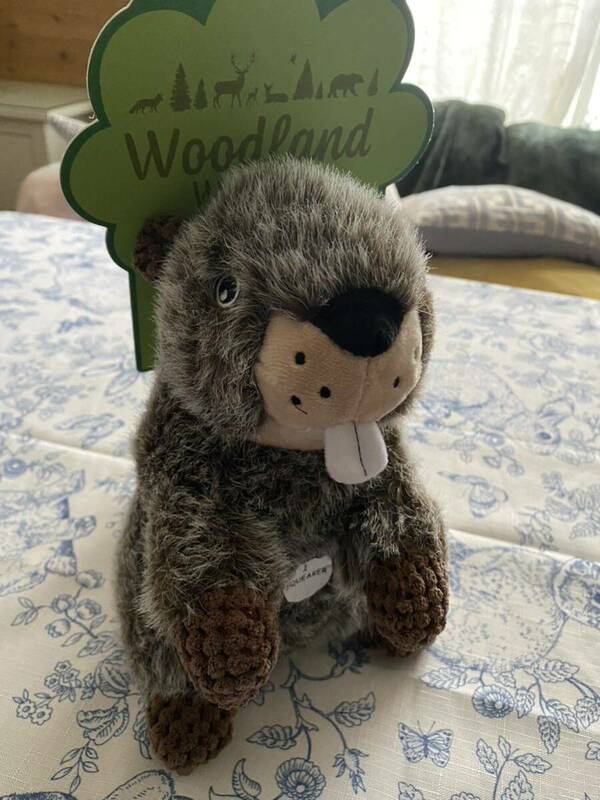 woodland wonder☆ペットトイ　犬用おもちゃ☆ぬいぐるみ/ビーバー