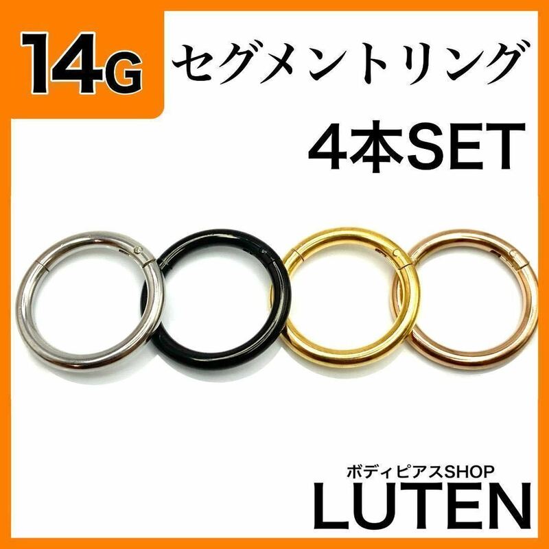 14G　セグメントリング　4本　クリッカー　イヤーロブ　ヘリックス　ボディピアス