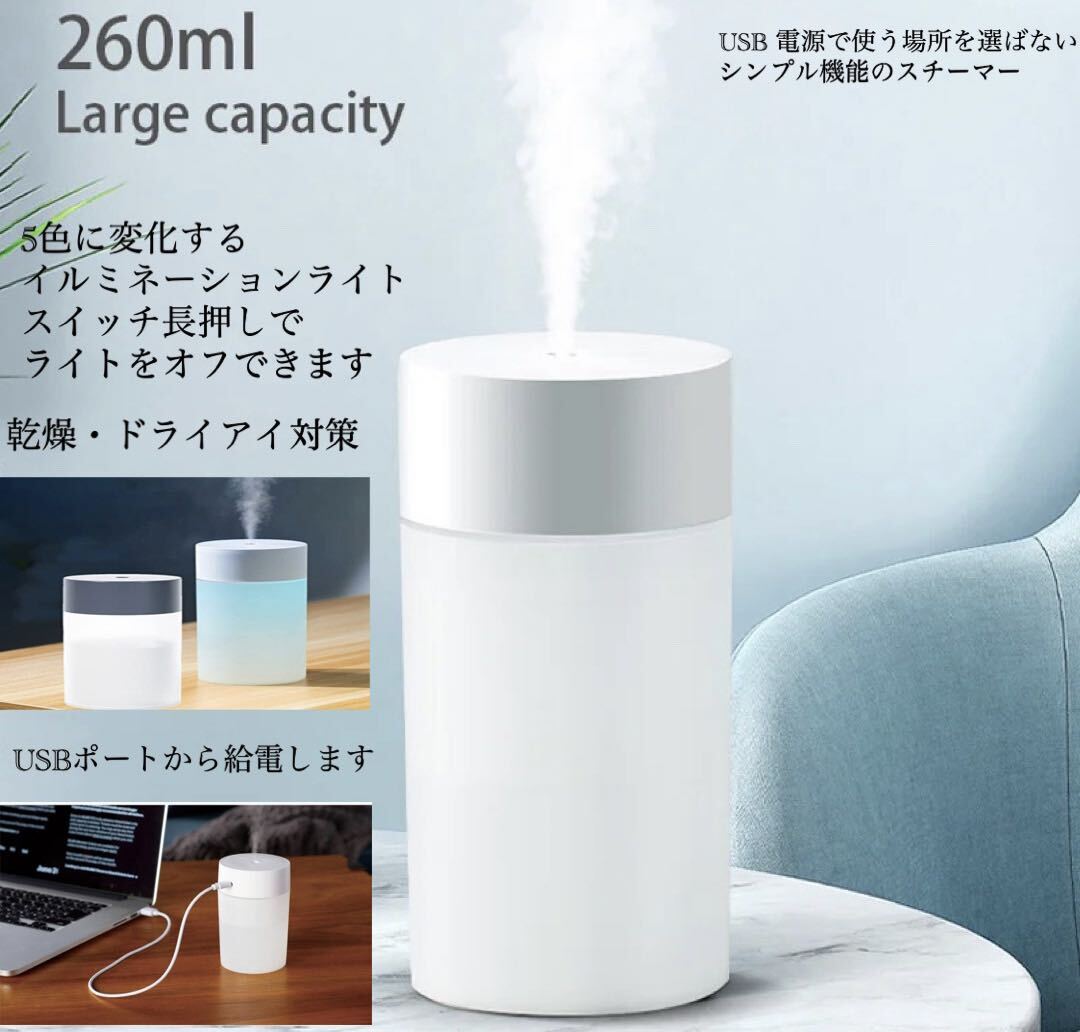 加湿器 卓上 除菌加湿器 ミニ アロマ加湿除菌 超音波式加湿器乾燥　乾燥　花粉症対策　 LEDライト 空焚き防止 260ML容量 USB充電式 デスク