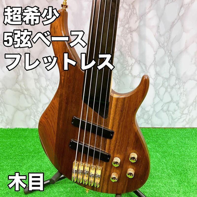 【超希少】 エレキベース 5弦　フレットレス　木目　美品