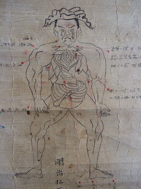 明治17年肉筆人体秘孔図「胴体之図」急所図つぼ鍼灸日本の素朴絵風水天中陰陽道古代科学武術マーシャルアーツ必殺術