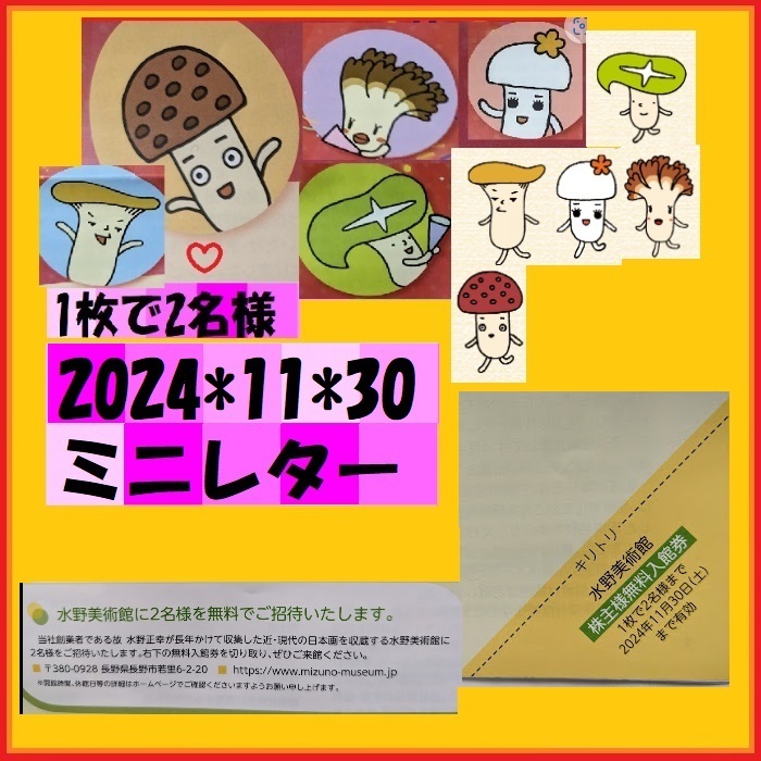 1枚で2名様　長野県長野市水野美術館 ホクト株主優待 無料入館券 2024*11*30　長野へ訪れたら　在住のお方も　優待で頂き新品未使用