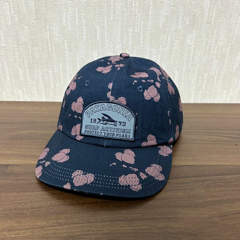 Patagonia Surf Trad Cap Team Surf Activist Gerry Islands Tidepool Blue パタゴニア サーフ トラッド キャップ ハット メッシュキャップ