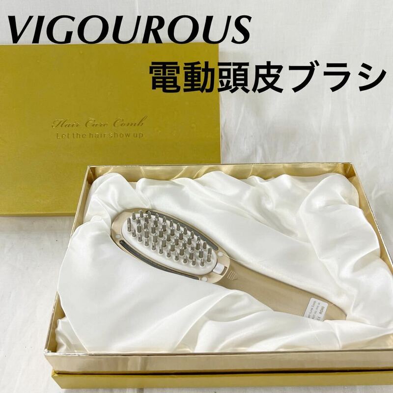 ▲ VIGOUROUS 電動 頭皮 ブラシ 育毛液使用可 マッサージ イオン 光エステモード 【OTUS-162】