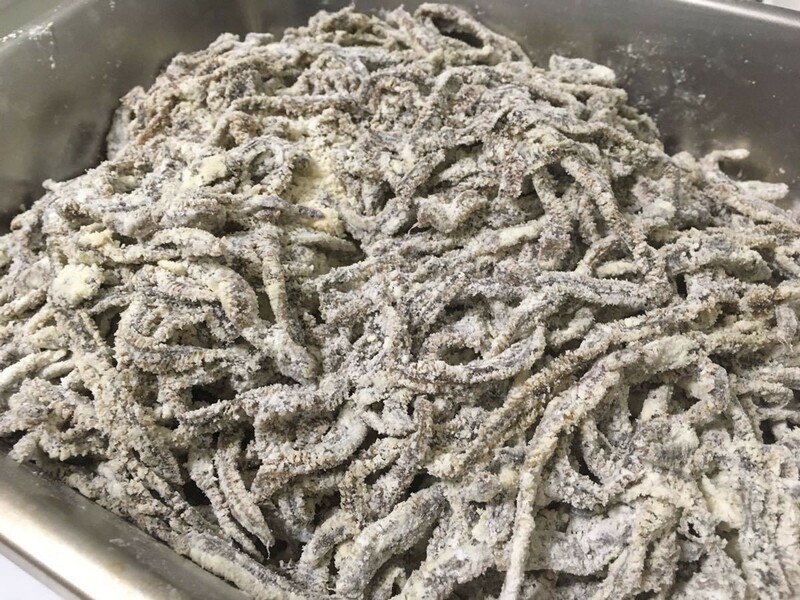 【数量限定】釣りエサ MSG塩イソメ 100g 集魚効果抜群！