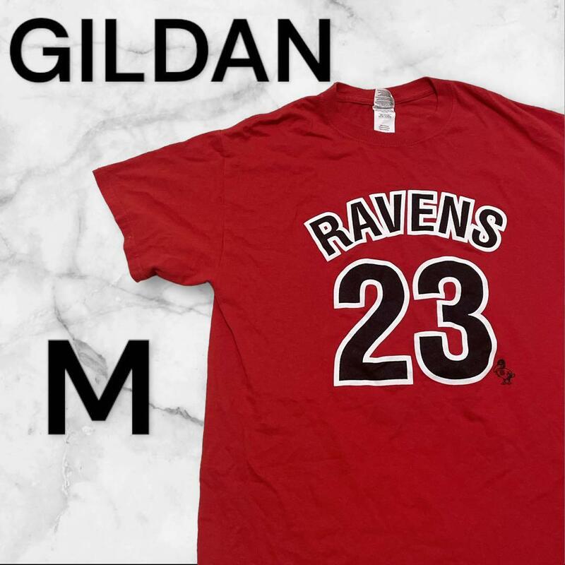 749.GILDAN ギルダン　Tシャツ　Mサイズ　レッド　100%コットン　RAVENS