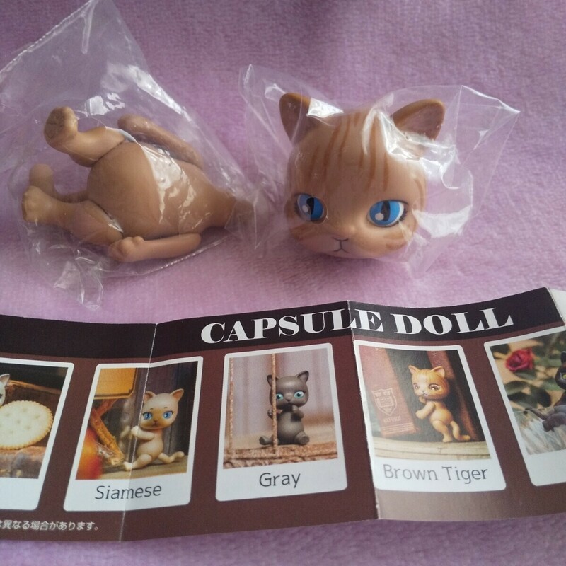 CAPSULE DOLL カプセルドール 猫 ネコ ねこ フィギュア カスタムドール マスコット Brown Tiger ガチャ 人形 ドールハウス インテリア