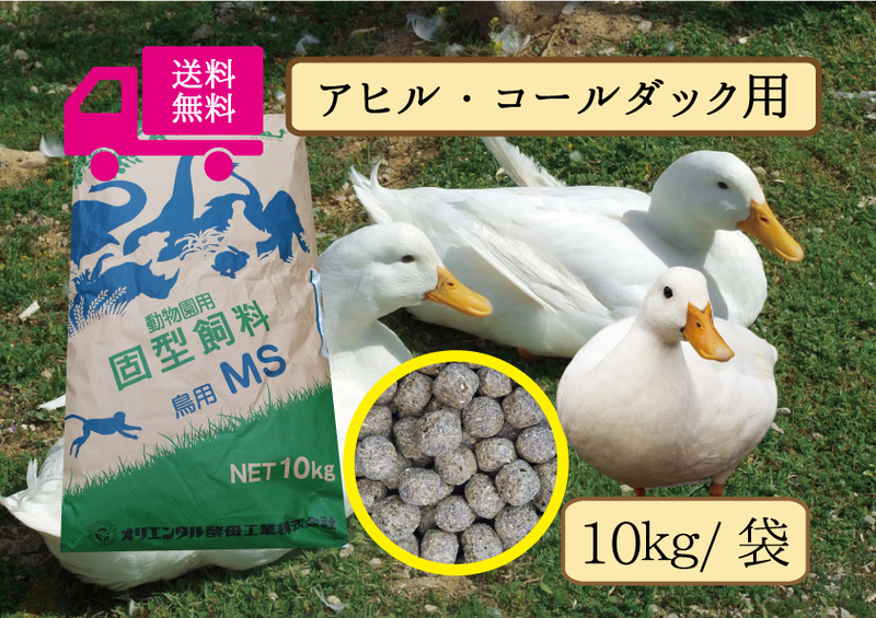 【期間限定SALE大特価】◎送料無料【アヒル・コールダック用飼料・ペレット】10kｇ　 水禽、エミュー、カモ用 オリエンタル酵母 MS