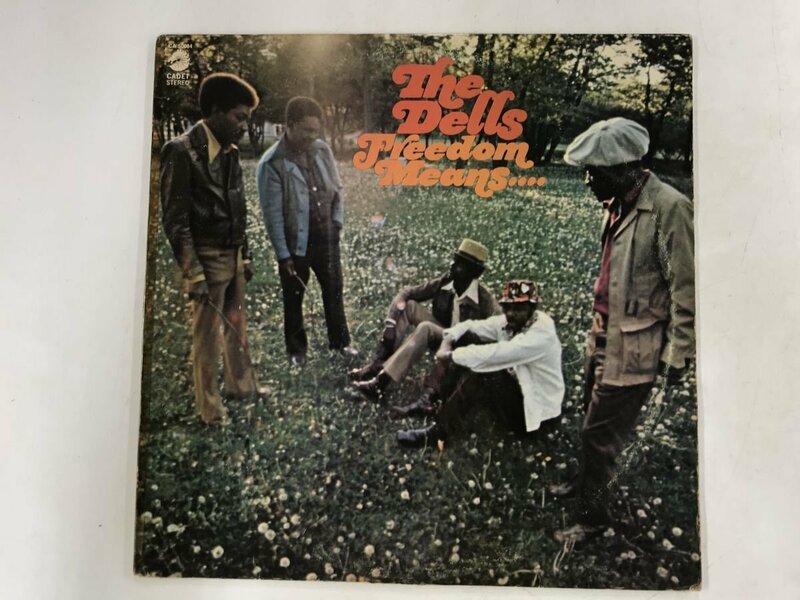 LP / THE DELLS / FREEDOM MEANS / US盤 [9327RR]