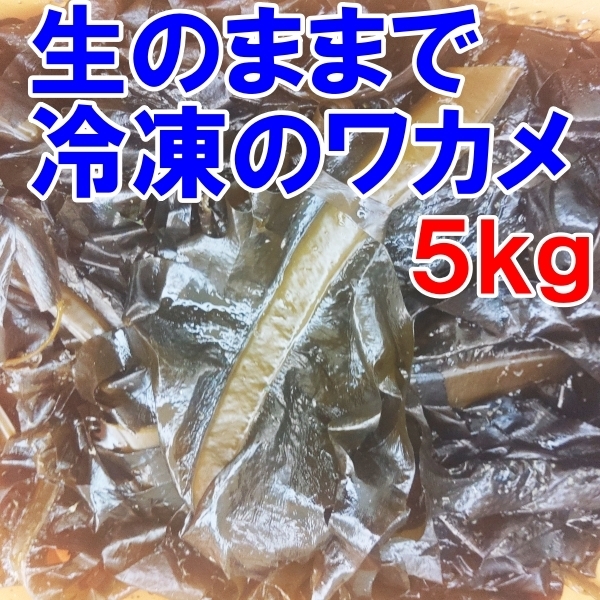 【生のまま冷凍】のワカメ！５ｋｇ（1ｋｇ入真空パック袋×5個）わかめ 味噌汁に サラダに 塩蔵は嫌いな方におススメです。松島牡蠣屋