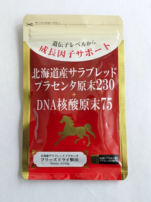 プラセンタ　DNA核酸　サプリメント　賞味期限24年11月