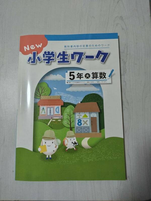 改訂 5年算数 大日本図書 NEW 小学生ワーク 塾教材 新品解答解説付き 在庫あり