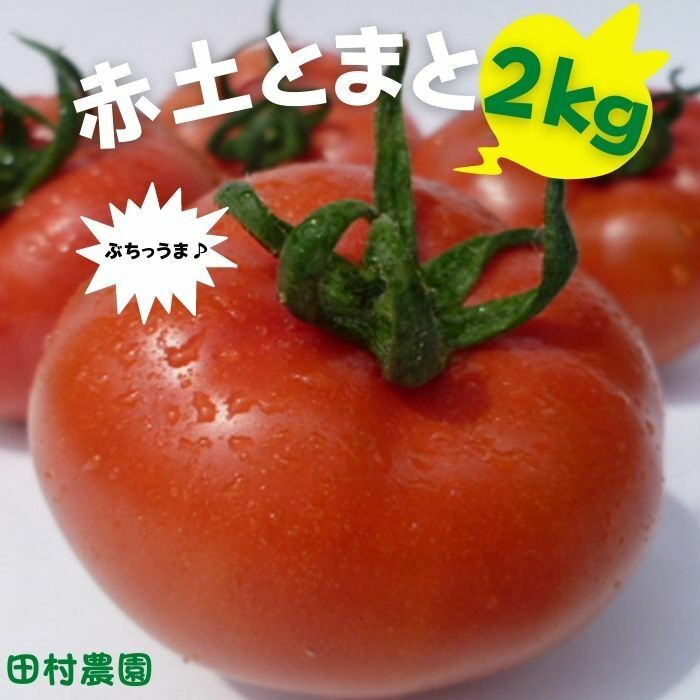 Lサイズ（14-16玉）赤土トマト ２ｋｇ 大玉トマト 大玉とまと 高糖度 トマトとまと 旨味 ミネラル成分 豊富 プレミアム ビタミンC リコピン