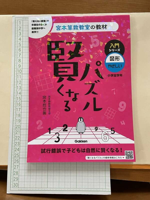 ドリル☆『賢くなるパズル』宮本哲也著☆保育園保育所幼稚園施設等 ワークシート 匿名配送