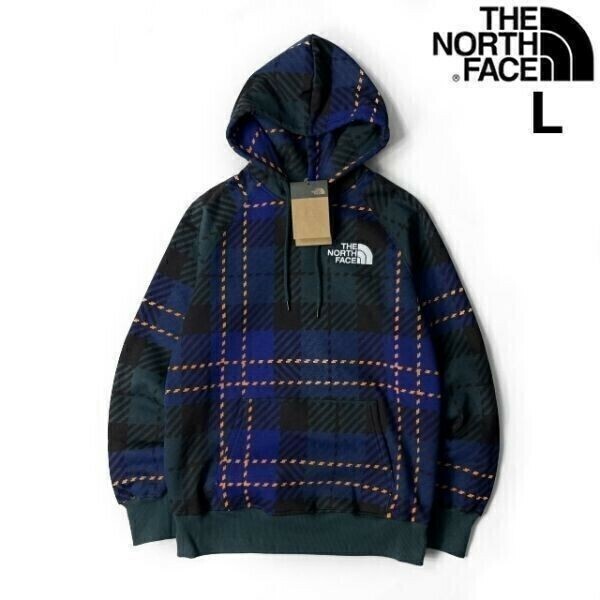 売切り【正規新品】THE NORTH FACE◆W HOLIDAY HOODIE パーカー US限定 上質 キャンプ 裏起毛 ロゴ刺繍(L)青 緑 チェック柄 181130-35