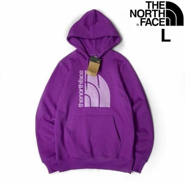 売切り【正規新品】THE NORTH FACE◆JUMBO HALF DOME HOODIE パーカー US限定 グラフィック ビッグハーフドーム(L)紫 181130-33